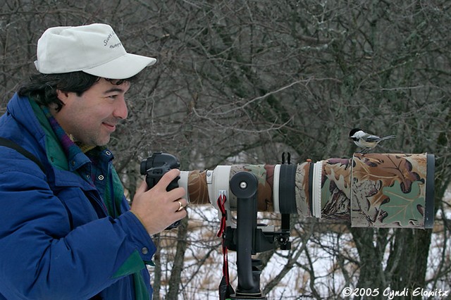 Black-capped Chickadee and Me