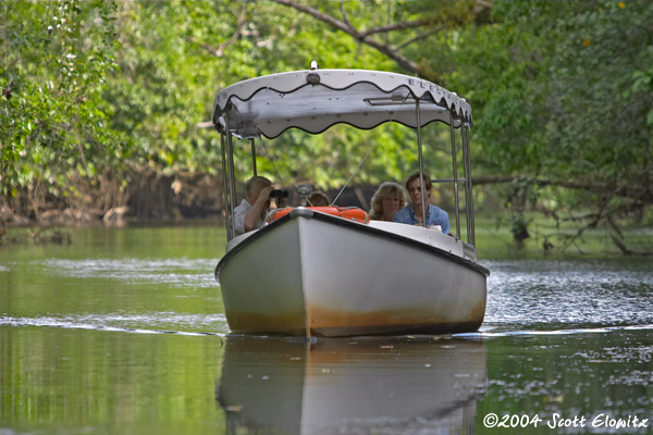 daintree river boat