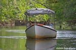 daintree river boat