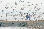 Red Knot & Ruddy Turnstone